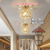 AP574 金屬框 牛眼水晶吸頂燈(LED) 12W Cow-eye Pattern Crystal Ceiling Light 三色光