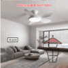 AP593 仿木紋五葉風扇燈(100W) 吊扇+吊燈(LED) Chandelier Light/Pendant Light + Ceiling Fan - Image 3