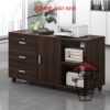 CB61 座地木製文件櫃/書櫃 Wooden Cabinet