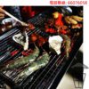 BQ008 不鏽鋼户外燒烤爐套裝 Stainless Steel Charcoal BBQ Grill - Image 12