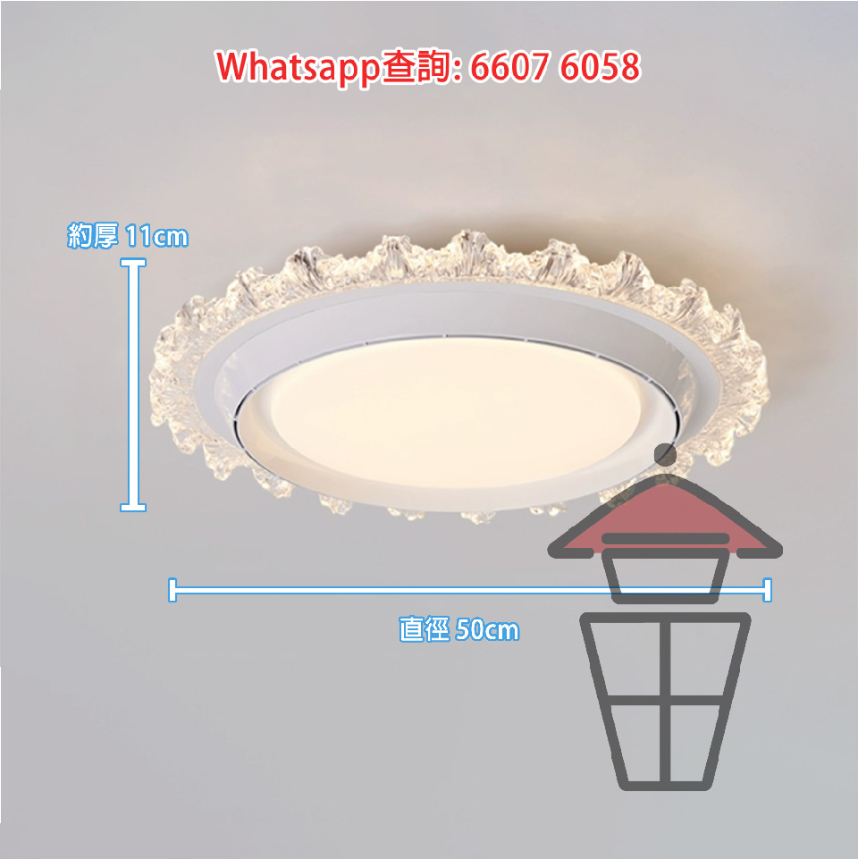 C1 8@AP565 JPG80